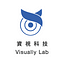 Visually Lab