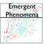 Emergent Phenomena