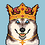 nfshibes