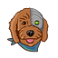 Cryptoodles