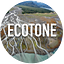 Ecotone: Stories of Ecology in Tension & Transition