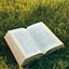 Fruitful Books