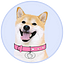DogeGF