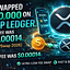 Crypto News