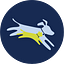 Leap Venture Studio & Academy