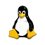 Linux Gossip