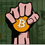 Bitcoin-Maximalist.com