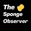 The Sponge Observer