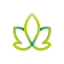CBD CASH