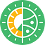 Phyken Network
