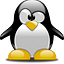 Argumentative Penguin