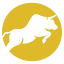 Coinoxs Blockchain Technologies