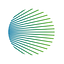 Piva Capital: Insights