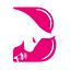 Bitindi Chain