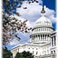 SPARC, Universities Research Association, D.C.