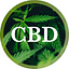 CBD Official Channel 漢麻產業新聞台