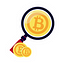 CryptoZoom