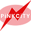 Pink City MEP : A Contractor in Dubai