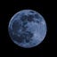 Ms. Moon (M.M)