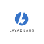 LavaX Labs