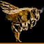 MindBuck Media