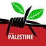 Il Progetto Palestina