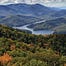 The North Carolina Experience