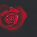 Heart Affairs