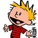 Calvin Codes