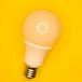 The Product Launch: Go-To-Market & Product Marketing Tips