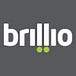 Brillio Data Science