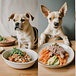 Pawrenting Stories