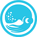 Sqquid