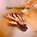 Gain Inspiration