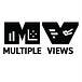 Multiple Views: Visualization Research Explained