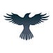 RavenProtocol