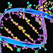 Ancestry and DNA