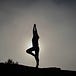 Business of Yoga