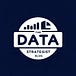 The Data Strategist