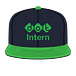 DOT Intern