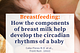 Breastfeeding and parent info: In breast milk, the concentration of both nutritive and non-nutritive milk components change over the day and night according to the circadian rhythms of the mother.