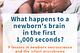 What happens to a baby’s brain in the first hour after birth? Why is skin-to-skin so important and other lessons on infant neuroscience and the microbiome.
