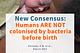 New consensus opinion on the colonisation of the infant microbiome