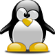 Argumentative Penguin