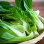 Facts About Bok Choy