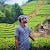 Nishanthan