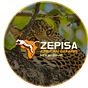 Zepisa African Safaris