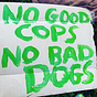 No Good Cops, No Bad Dogs