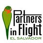 Partners in Flight El Salvador