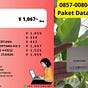 Paket Internet Jepang